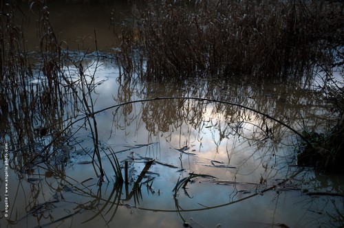 photo@angelle-photo.com / reflet pont feuillage etang